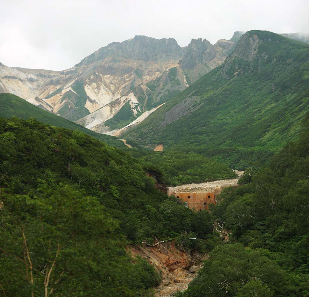 fotografia, materiale, libero il panorama, dipinga, fotografia di scorta,Mt. Tokachi-dake, Il mountaintop, ridgeline, Bave culla, vulcano