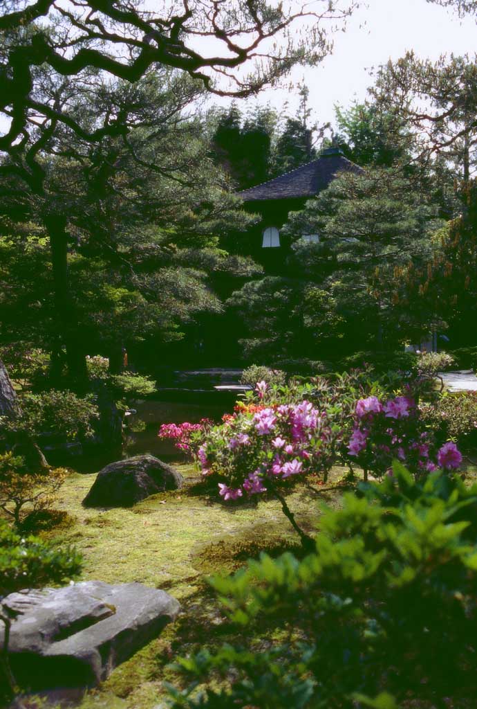 Foto, materiell, befreit, Landschaft, Bild, hat Foto auf Lager,Garten, Ginkakuji, Garten, , 