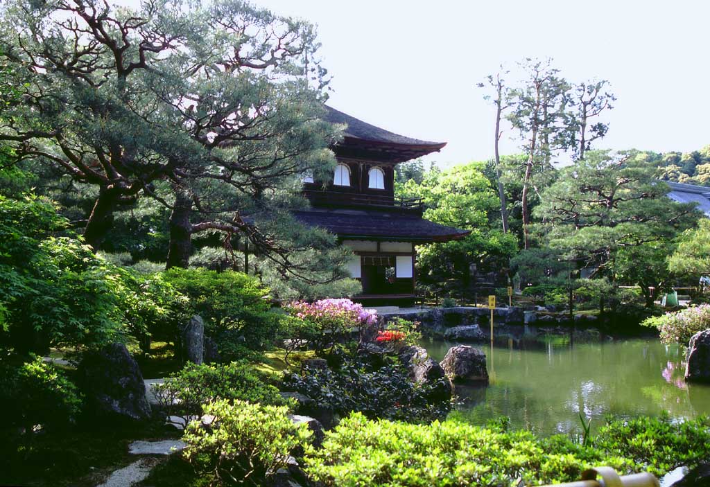 Foto, materiell, befreit, Landschaft, Bild, hat Foto auf Lager,Ginkakuji (silberner Pavillon)), Ginkakuji, Teich, Garten, Baum