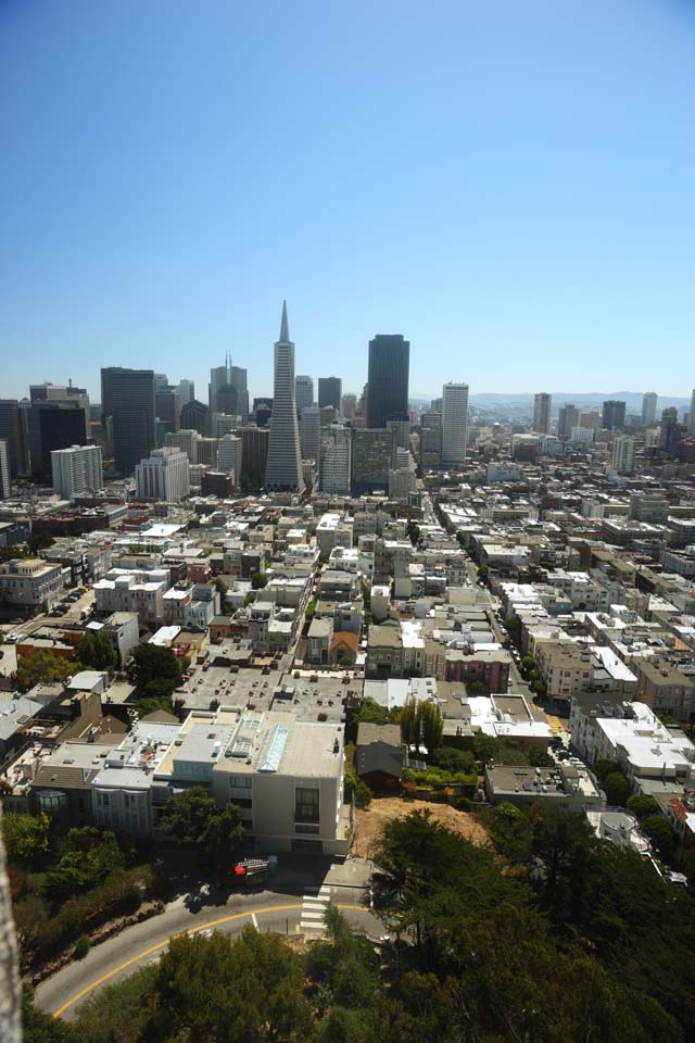 photo,material,free,landscape,picture,stock photo,Creative Commons,The sea of San Francisco, high-rise building, Downtown, residential area, slope