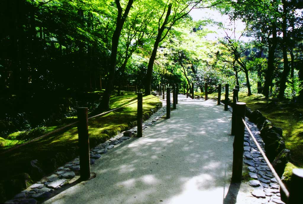 Foto, materieel, vrij, landschap, schilderstuk, bevoorraden foto,Paadje in gevoelige brink, Ginkakuji, , , 