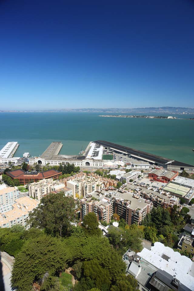 photo, la matire, libre, amnage, dcrivez, photo de la rserve,La mer de San Francisco, port, Une le, bateau, rgion rsidentielle