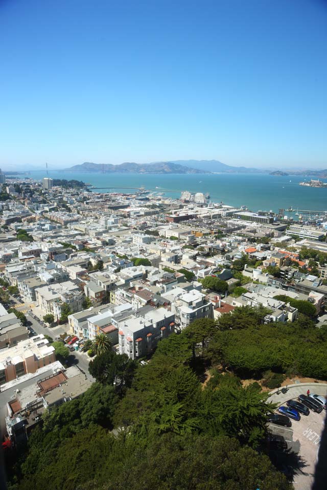 fotografia, materiale, libero il panorama, dipinga, fotografia di scorta,Il mare di San Francisco, porto, Ponte di cancello dorato, nave, area residenziale