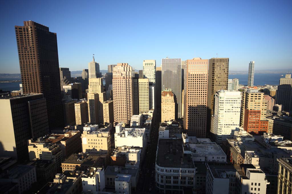 fotografia, materiale, libero il panorama, dipinga, fotografia di scorta,Il gruppo di edificio di San Francisco, edificio a molti piani, Il centro, area residenziale, pendio