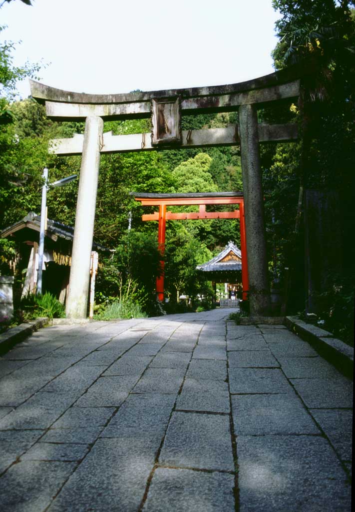 Foto, materieel, vrij, landschap, schilderstuk, bevoorraden foto,Straat van torii poorten, Torii poort, Heiligdom, , 