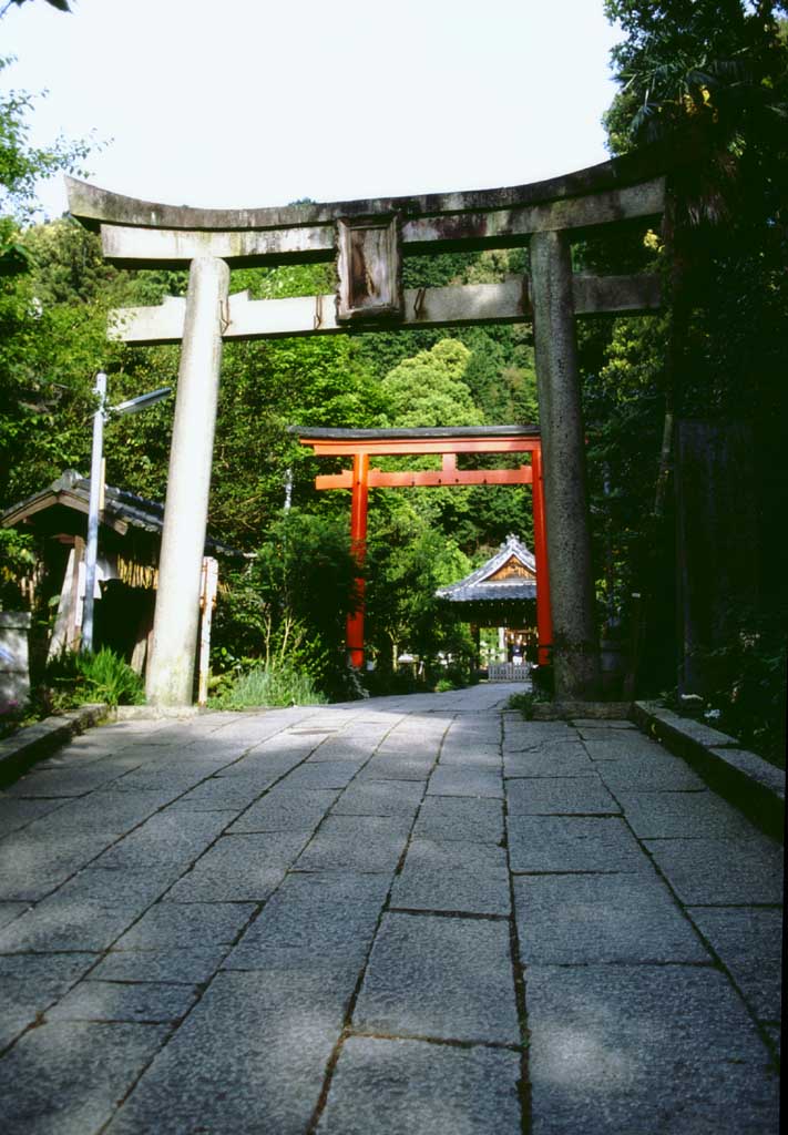 fotografia, materiale, libero il panorama, dipinga, fotografia di scorta,Strada di cancelli di torii, torii controllano, sacrario, , 