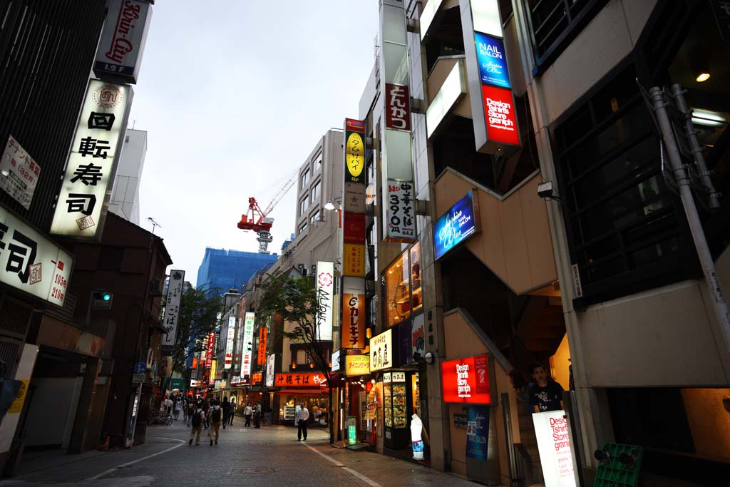 photo,material,free,landscape,picture,stock photo,Creative Commons,According to Shinjuku, restaurant, signboard, stone pavement, Illuminations