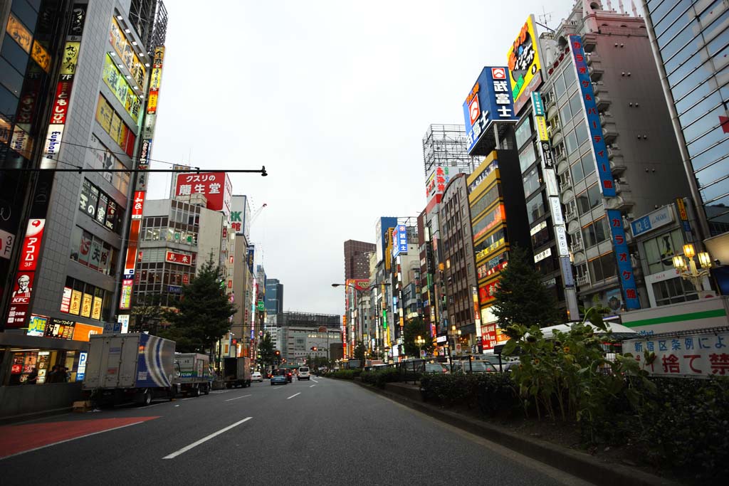 Foto, materiell, befreit, Landschaft, Bild, hat Foto auf Lager,Kabukicho, Shinjuku, Restaurant, Tafel, Manieren und Sitten, Festliche Beleuchtung