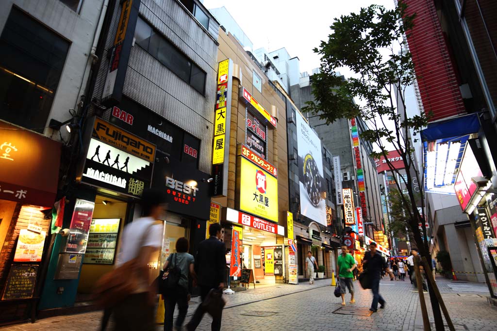 Foto, materieel, vrij, landschap, schilderstuk, bevoorraden foto,Volgens Shinjuku, Restaurant, Signboard, Stenige bestrating, Illumineringen