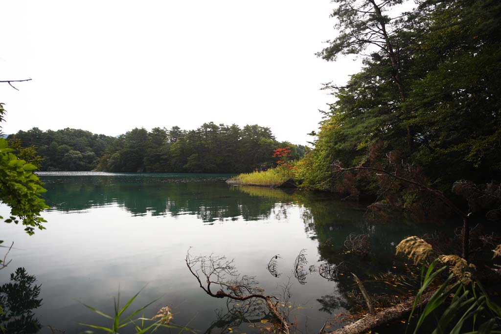 Foto, materiell, befreit, Landschaft, Bild, hat Foto auf Lager,See Bishamon, Wald, Teich, Azurblau blau, Mt. Bandai-san