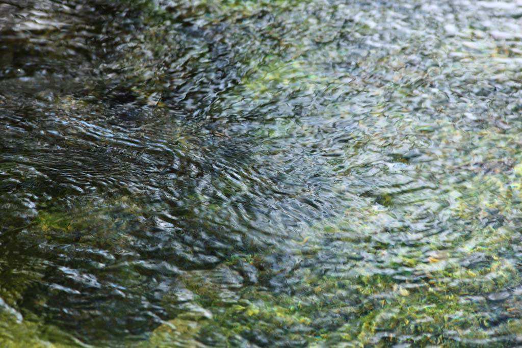 fotografia, materiale, libero il panorama, dipinga, fotografia di scorta,L'increspatura del lignaggio nobile, Lignaggio nobile, La foresta, onda, flusso