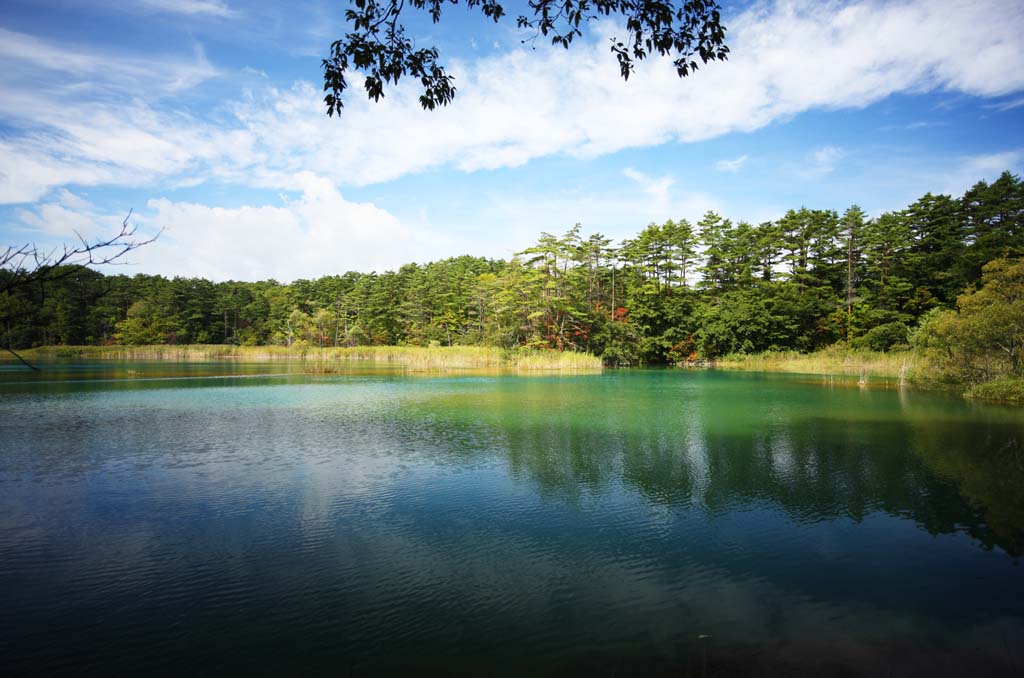 Foto, materiell, befreit, Landschaft, Bild, hat Foto auf Lager,Seenfrau des Hauptzen-Priesters, Wald, Teich, Azurblau blau, Mt. Bandai-san