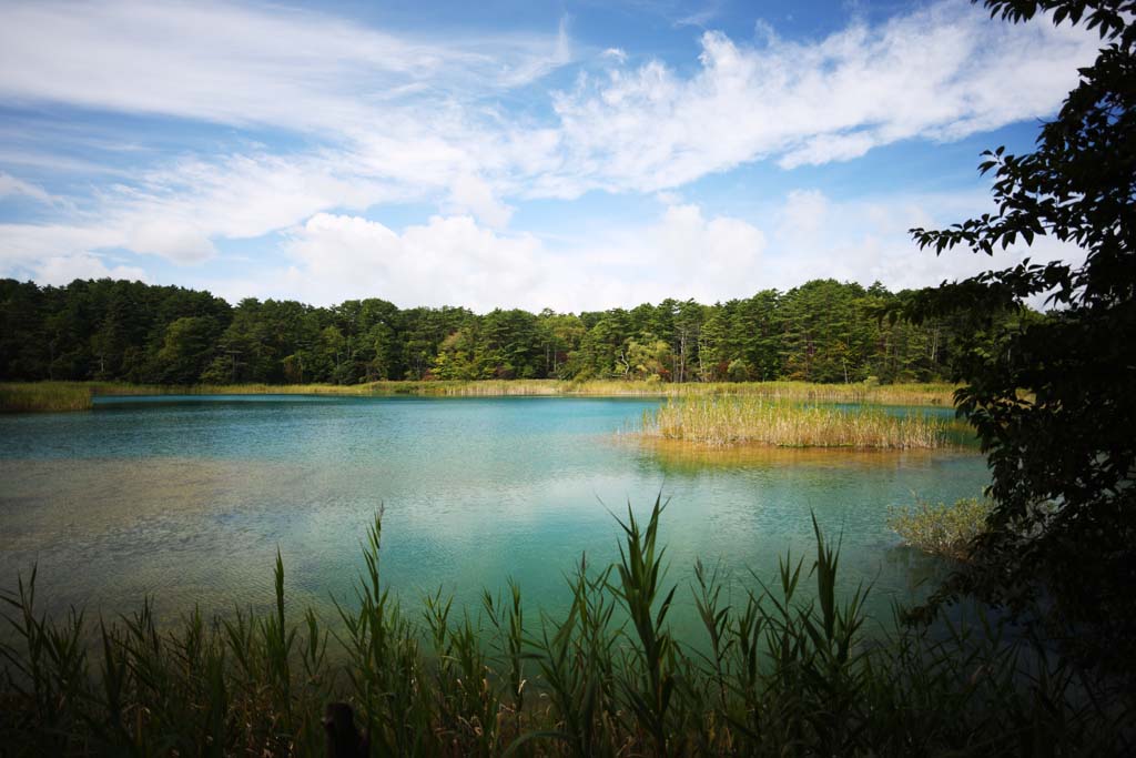 Foto, materiell, befreit, Landschaft, Bild, hat Foto auf Lager,Seenfrau des Hauptzen-Priesters, Wald, Teich, Azurblau blau, Mt. Bandai-san