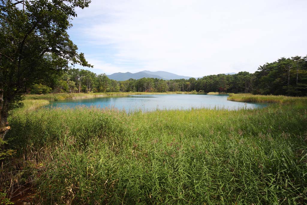 foto,tela,gratis,paisaje,fotografa,idea,Esposa de lago de zen - sacerdote principal, Bosque, Laguna, Color azul azul celeste, Monte. Bandai - san