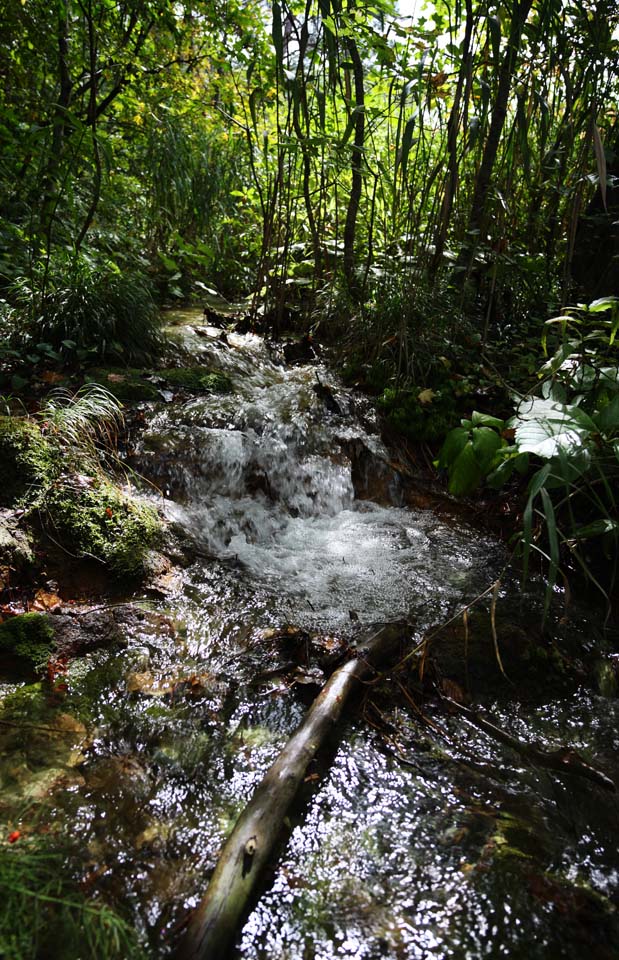 photo, la matire, libre, amnage, dcrivez, photo de la rserve,Ligne noble, fort, chute d'eau, ruisseau, Mt. Bandai-san