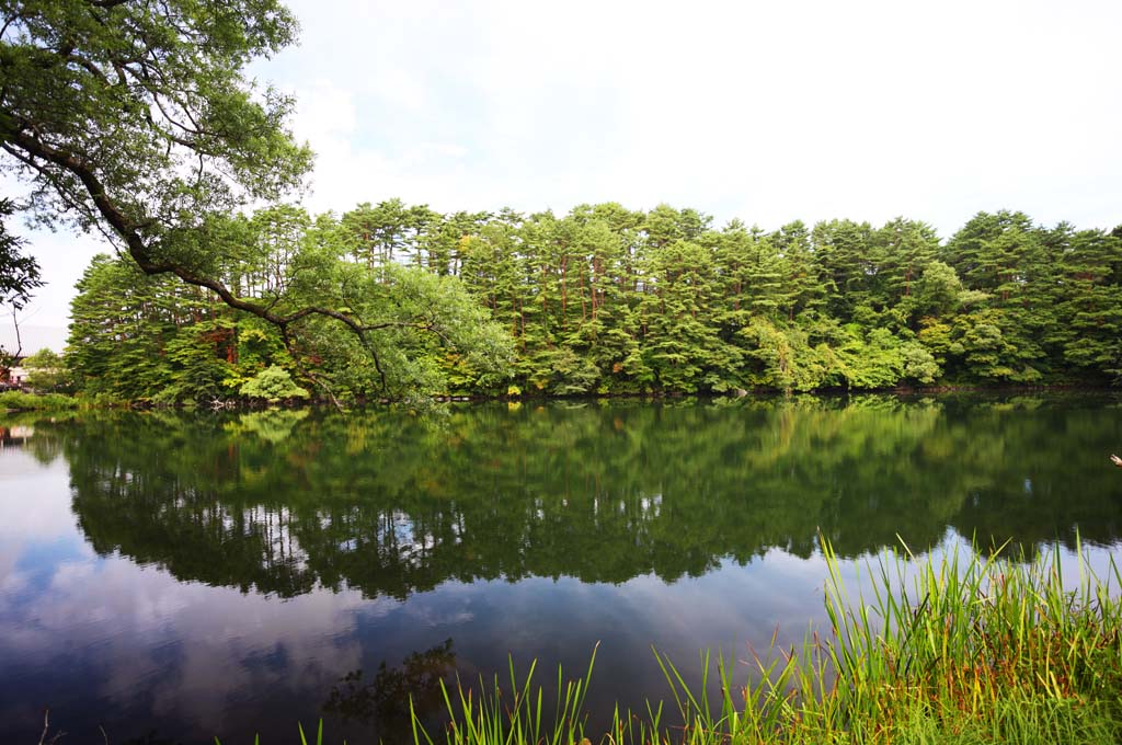 Foto, materiell, befreit, Landschaft, Bild, hat Foto auf Lager,Yaginuma, Wald, Teich, Die Oberflche des Wassers, Mt. Bandai-san