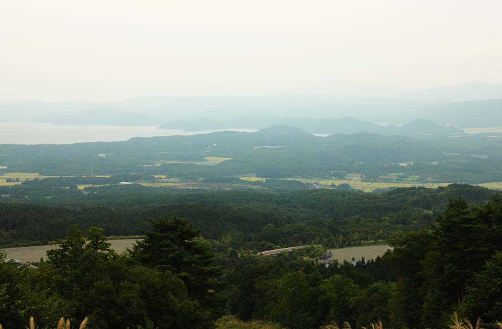 photo, la matire, libre, amnage, dcrivez, photo de la rserve,Lac Inawashiro-ko, champ du riz, Riz grandir, lac, Aizu Fuji