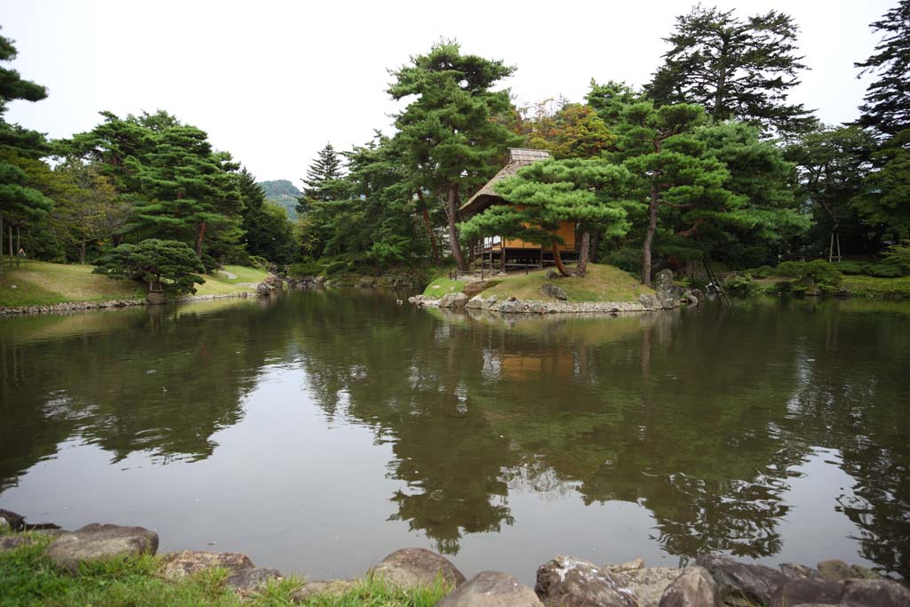 Foto, materieel, vrij, landschap, schilderstuk, bevoorraden foto,De waterplas van de Oyaku-en Tuinieren gevoel karakter, Tuinplant, Tuinier, Japanse tuin, Pijnboom