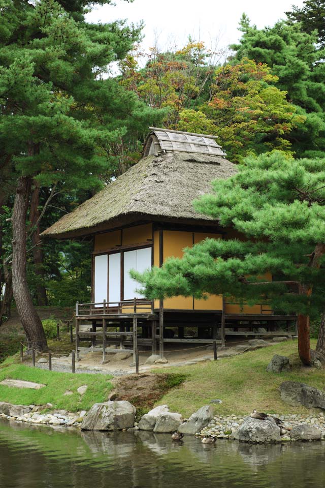 photo, la matire, libre, amnage, dcrivez, photo de la rserve,Oyaku-en confort de Jardin charmille Kotobuki, plante de jardin, shoji, Japonais jardine, Chaume