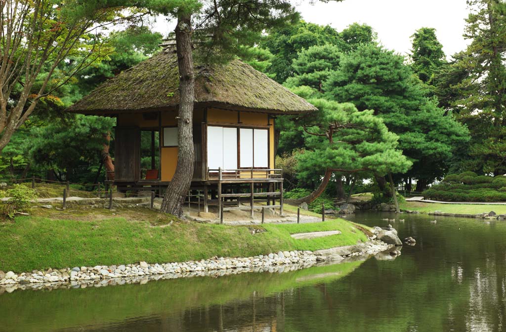photo,material,free,landscape,picture,stock photo,Creative Commons,Oyaku-en Garden comfort Kotobuki bower, garden plant, shoji, Japanese garden, Thatch