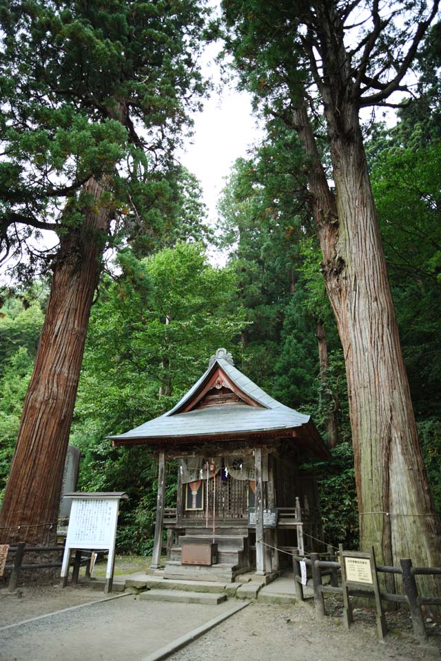 Foto, materiell, befreit, Landschaft, Bild, hat Foto auf Lager,Iimori-yama-Hgel Itsukushima-jinja-Schrein, Mischung von Buddhismus und Schintoismus, Ausgezeichnetes Mr.-Schilfrohr, Aizu, Masakata Matsudaira