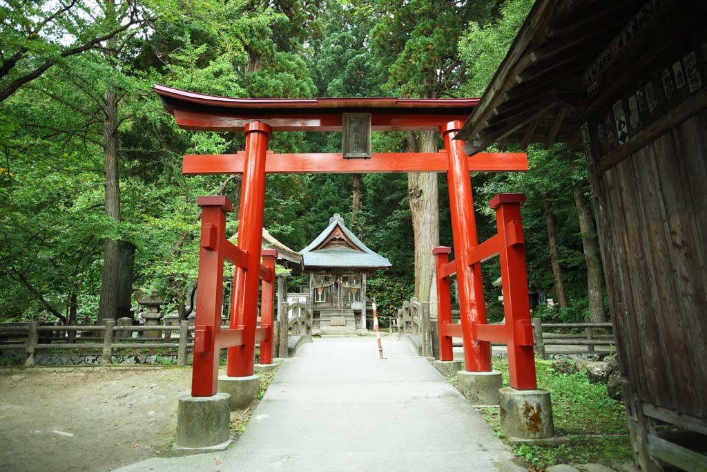 photo, la matire, libre, amnage, dcrivez, photo de la rserve,Colline Iimori-yama temple Itsukushima-jinja, Mlange de Bouddhisme et Shintosme, M. excellent. roseau, Aizu, Masakata Matsudaira