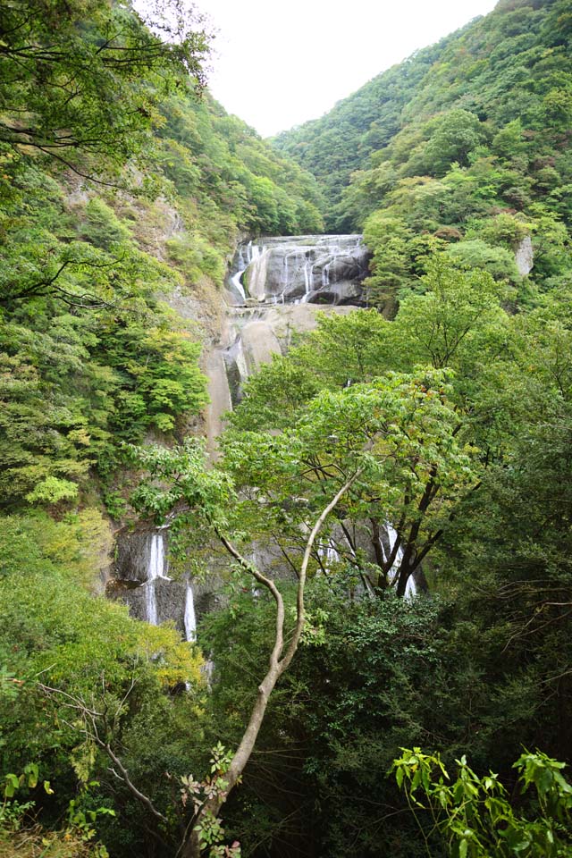 photo, la matire, libre, amnage, dcrivez, photo de la rserve,Une chute d'eau de Fukuroda, westing prtre bouddhiste, Takikawa, Rivire Kuji, Komon Mito