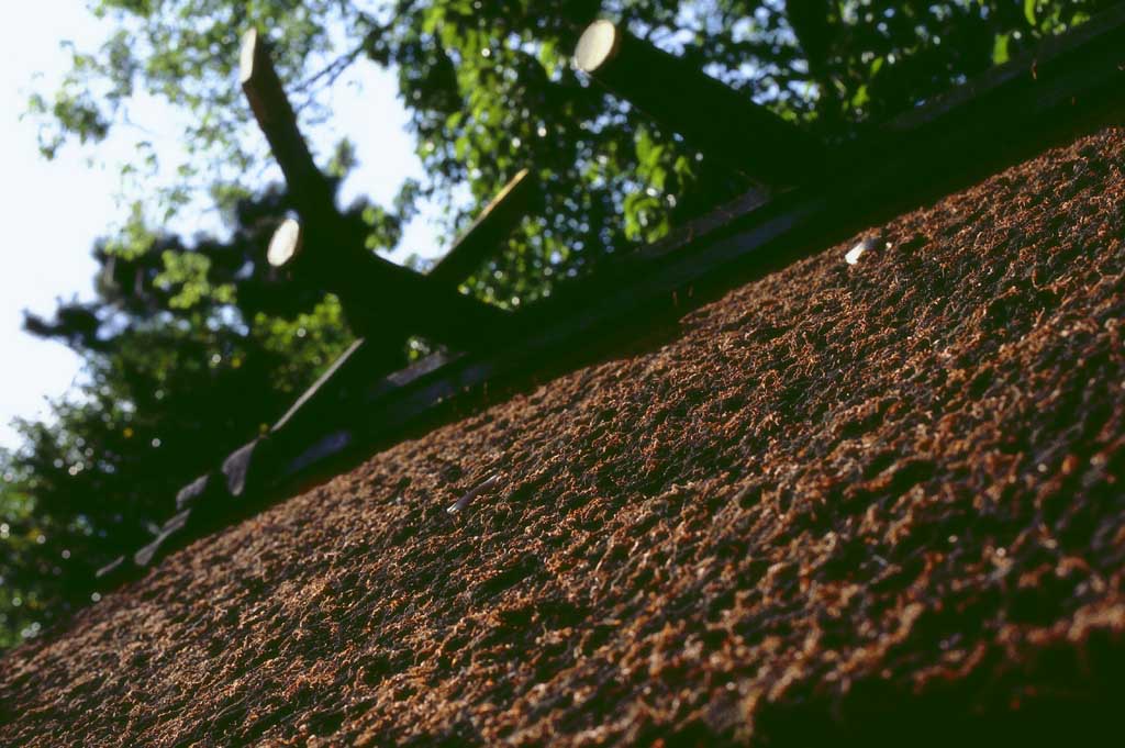 photo,material,free,landscape,picture,stock photo,Creative Commons,Shrine roof, Fushimi-inari Taisha, roof, , 