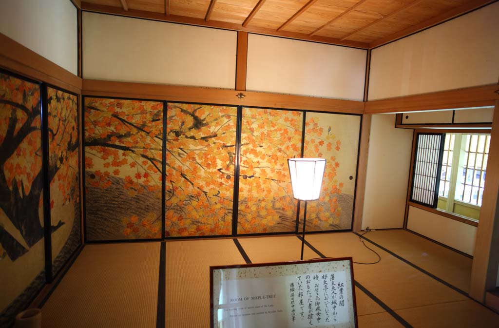 fotografia, material, livra, ajardine, imagine, proveja fotografia,Kairaku-en Garden pavilho de Yoshifumi, fusuma imaginam, Folhas coloridas, quadro, Durante logo