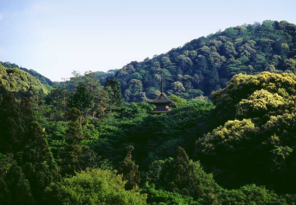 Foto, materieel, vrij, landschap, schilderstuk, bevoorraden foto,Rijzen binnen het bos uit, Kiyomizu Tempel, Toren, Berg, Bos