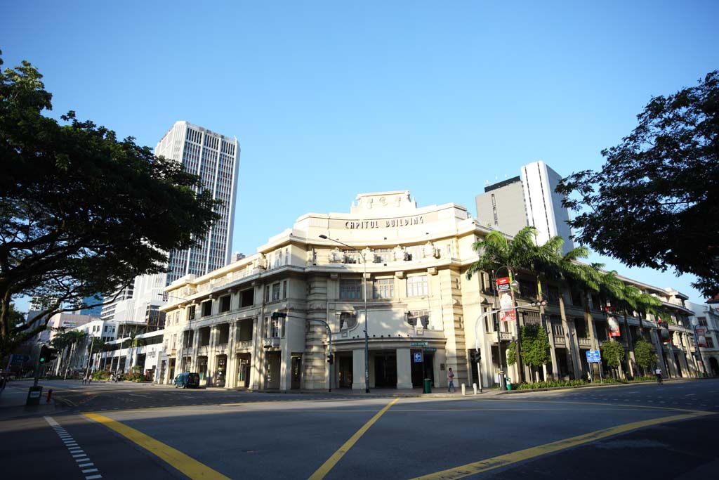 Foto, materiell, befreit, Landschaft, Bild, hat Foto auf Lager,Singapur zufolge, berquerung, Hochhaus, Baum an der Strae, Die tropische Zone