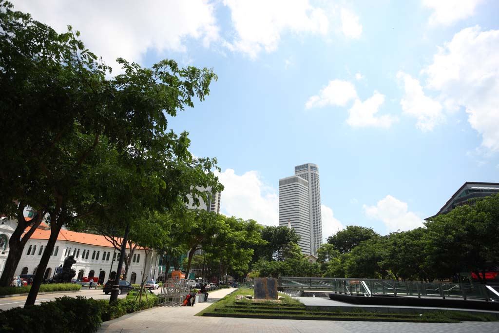 Foto, materiell, befreit, Landschaft, Bild, hat Foto auf Lager,Singapur, SMU, Hochhaus, Baum an der Strae, Die tropische Zone