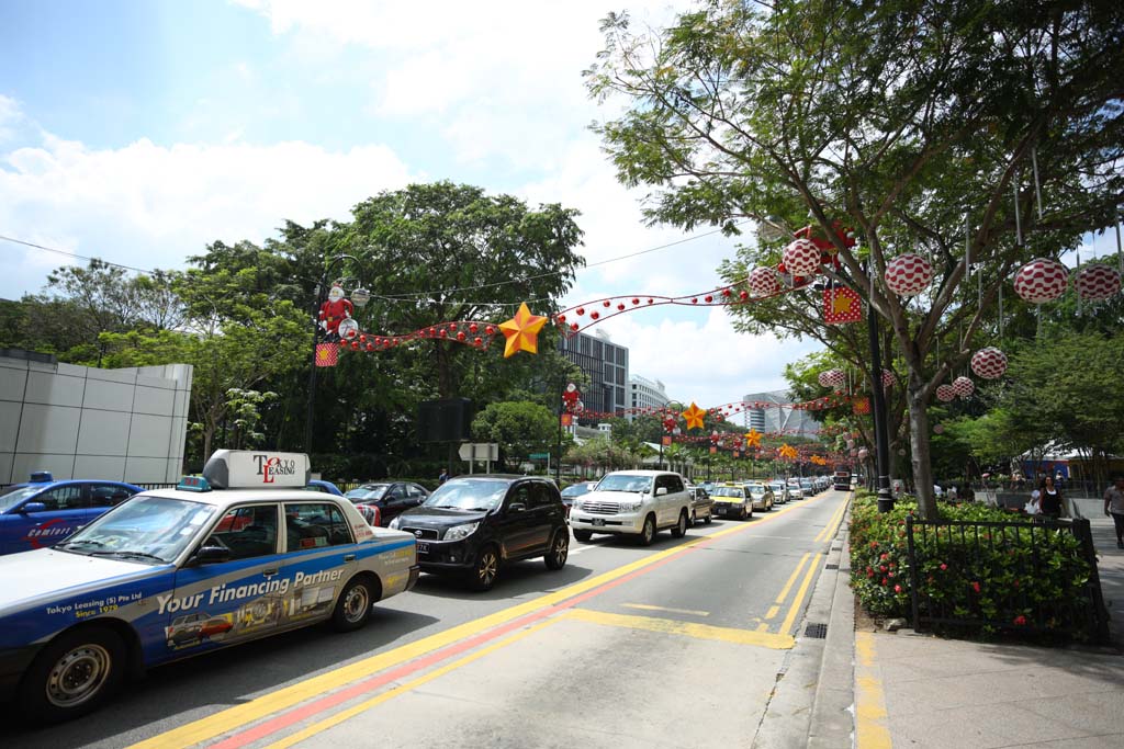 photo,material,free,landscape,picture,stock photo,Creative Commons,An orchard road, car, Christmas, roadside tree, The tropical zone