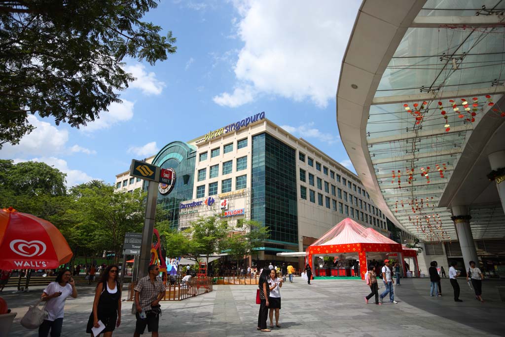 fotografia, materiale, libero il panorama, dipinga, fotografia di scorta,Singapore, Facendo compere, sottopassaggio pedonale, albero della strada, La zona tropicale