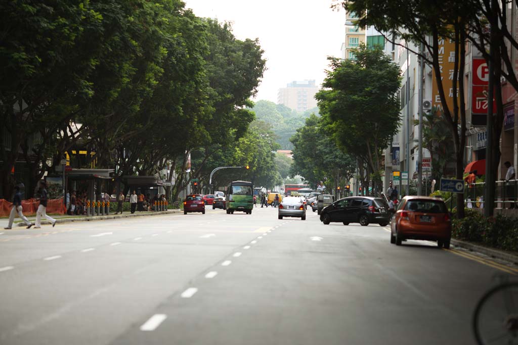 Foto, materiell, befreit, Landschaft, Bild, hat Foto auf Lager,Singapur zufolge, Auto, Hochhaus, Baum an der Strae, Die tropische Zone