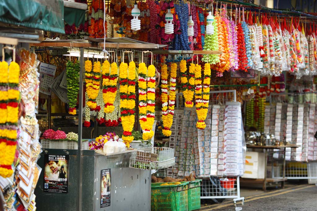 fotografia, materiale, libero il panorama, dipinga, fotografia di scorta,Piccola India, malloppo, Un'orchidea, Calendola, ghirlanda