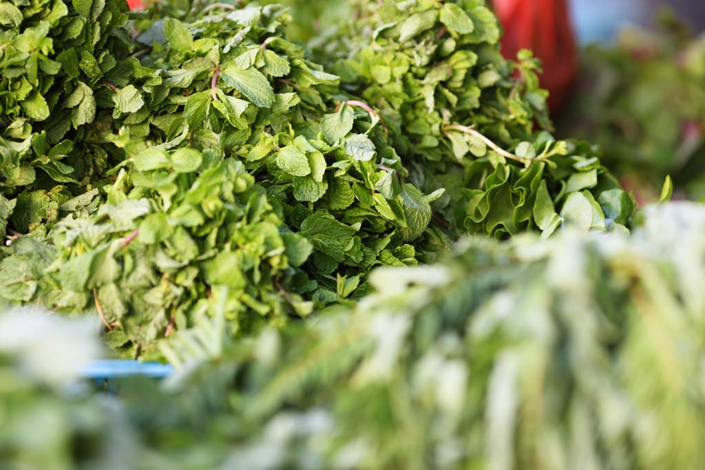 fotografia, materiale, libero il panorama, dipinga, fotografia di scorta,Una zecca, negozio vegetale, zecca, Herb, Vegetali