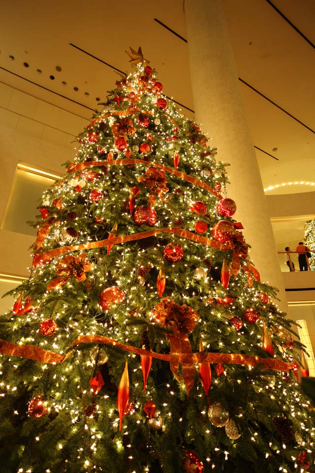 Foto, materiell, befreit, Landschaft, Bild, hat Foto auf Lager,Ein Weihnachtsbaum, Stern, Schnee, Eine Zierde, X'mas