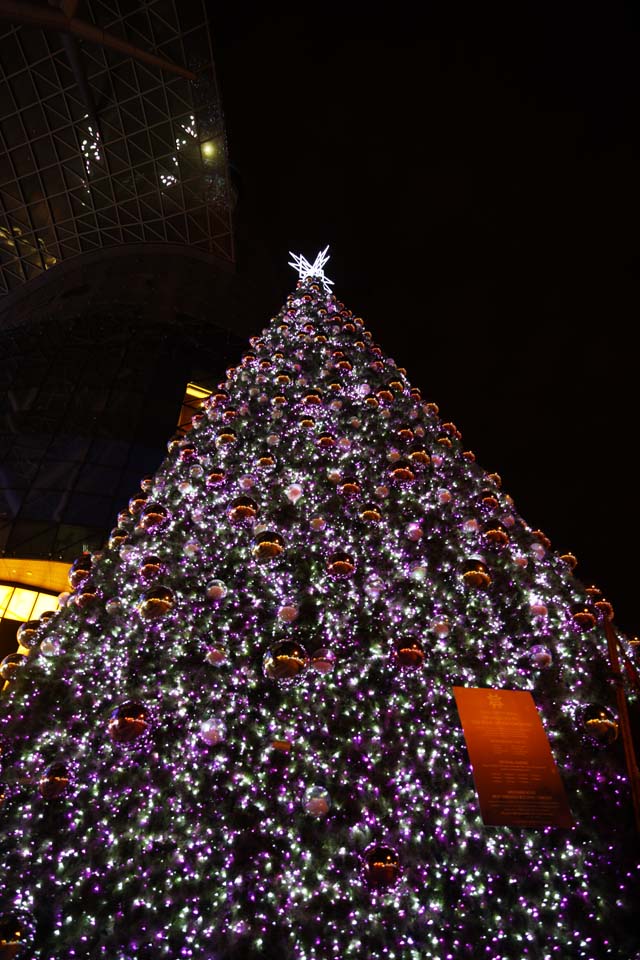 Foto, materiell, befreit, Landschaft, Bild, hat Foto auf Lager,Ein Weihnachtsbaum, Stern, Schnee, Eine Zierde, X'mas