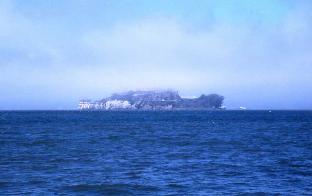 Foto, materieel, vrij, landschap, schilderstuk, bevoorraden foto,Gevulde bloem bezichtiging van Alcatraz Island, Eiland, Zee, , 