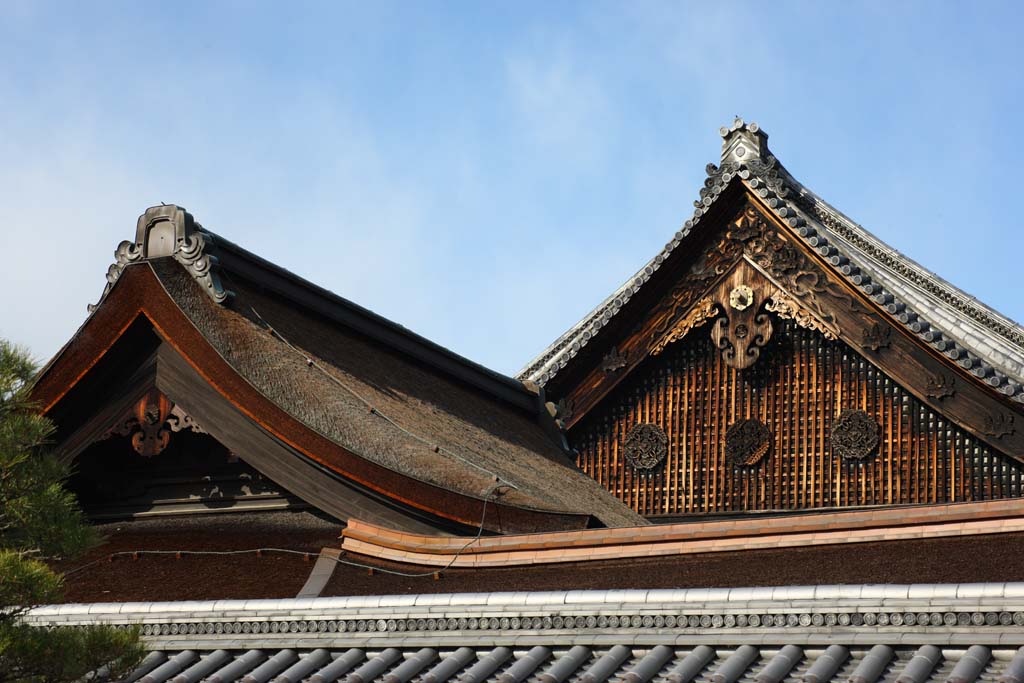 fotografia, material, livra, ajardine, imagine, proveja fotografia,Estudo de Honganji ocidental, Honganji, Chaitya, Shinran, azulejo de telhado