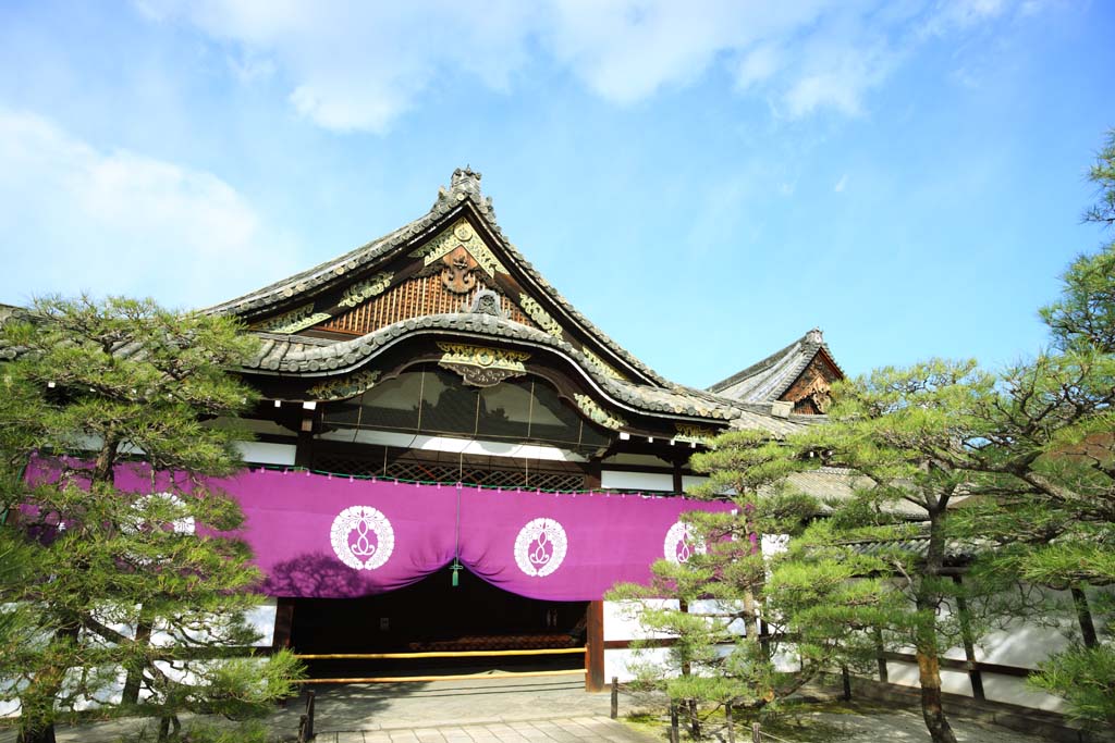 fotografia, materiale, libero il panorama, dipinga, fotografia di scorta,Honganji Dell'ovest lo studio, Honganji, Chaitya, Shinran, tegola di tetto