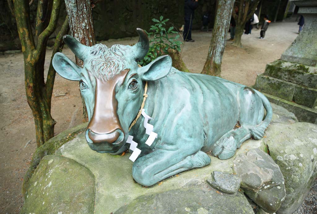 photo, la matire, libre, amnage, dcrivez, photo de la rserve,Ishigami se spcialisent image de la vache du temple, La chronique japonaise de Japon, description d'histoire folklorique, Le boeuf, statue de bronze