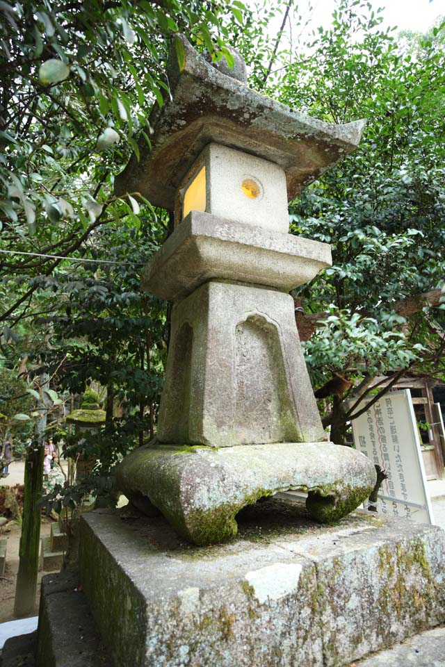 foto,tela,gratis,paisaje,fotografa,idea,Ishigami muy importante santuario linterna de piedra, La crnica japonesa de Japn, Descripcin de historia folklrica, Linterna de piedra, Luz