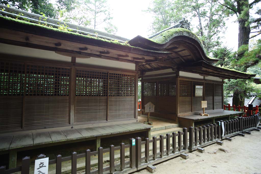 photo,material,free,landscape,picture,stock photo,Creative Commons,Ishigami major shrine Tateo Izumo Shrine front shrine, The Japanese Chronicle of Japan, description of folk history, wooden building, lattice door