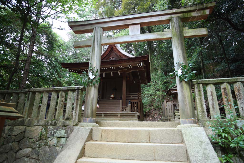 photo,material,free,landscape,picture,stock photo,Creative Commons,Ishigami major shrine Tateo Izumo Shrine, The Japanese Chronicle of Japan, description of folk history, wooden building, Shinto