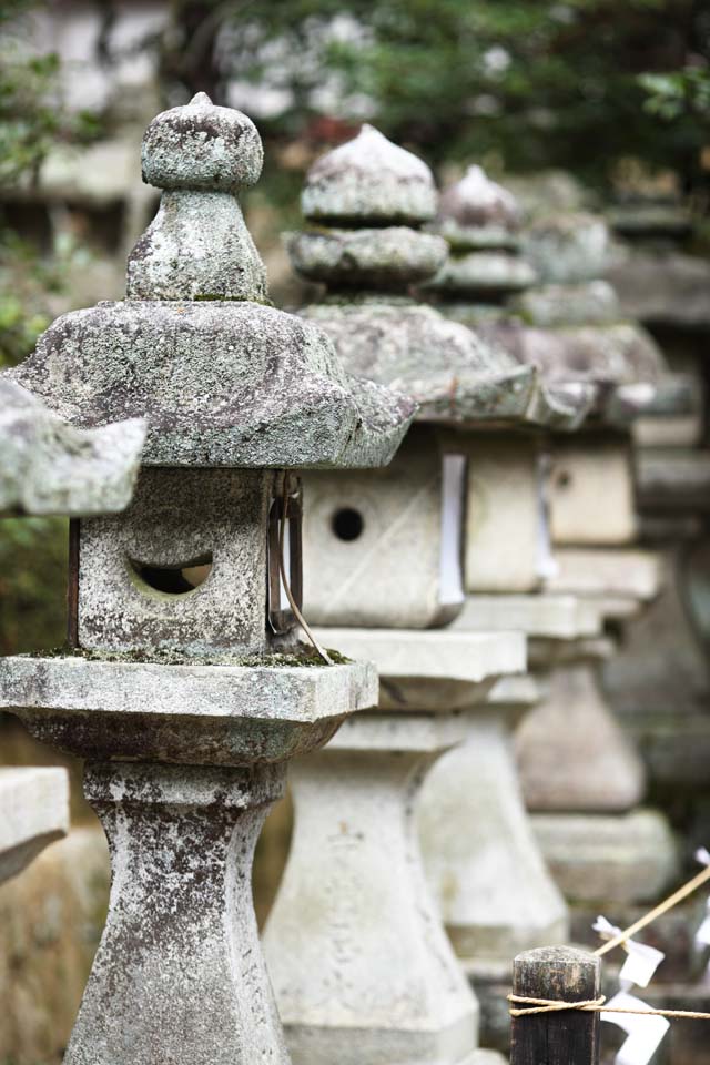 photo,material,free,landscape,picture,stock photo,Creative Commons,Ishigami major shrine stone lantern, The Japanese Chronicle of Japan, description of folk history, stone lantern, stone garden lantern