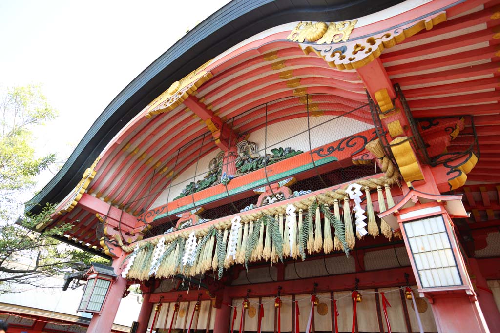 fotografia, materiale, libero il panorama, dipinga, fotografia di scorta,Fushimi-Inari Taisha il Sacrario festone di paglia scintoista, Festone di paglia scintoista, tappezzi appendice, Inari, volpe