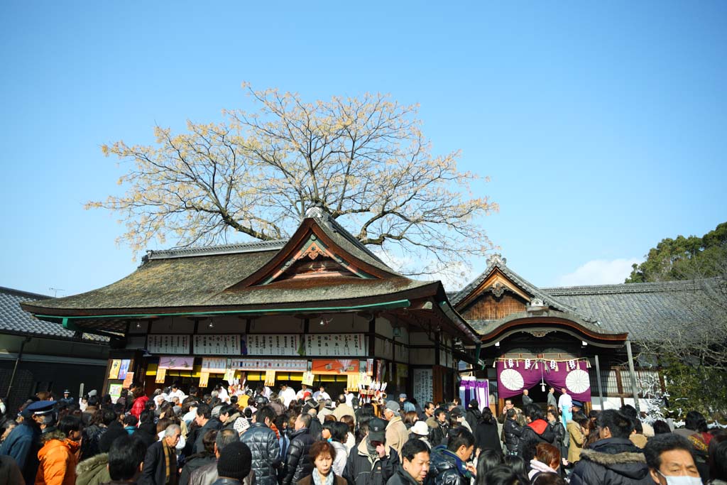 fotografia, material, livra, ajardine, imagine, proveja fotografia,Fushimi-Inari Taisha santurio, conta, Ano novo est exorcizando seta, mdio, raposa