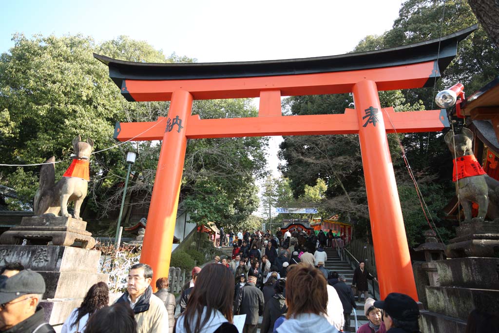 fotografia, materiale, libero il panorama, dipinga, fotografia di scorta,Fushimi-Inari Taisha torii di Sacrario, La visita di anno Nuovo ad un sacrario scintoista, torii, Inari, volpe